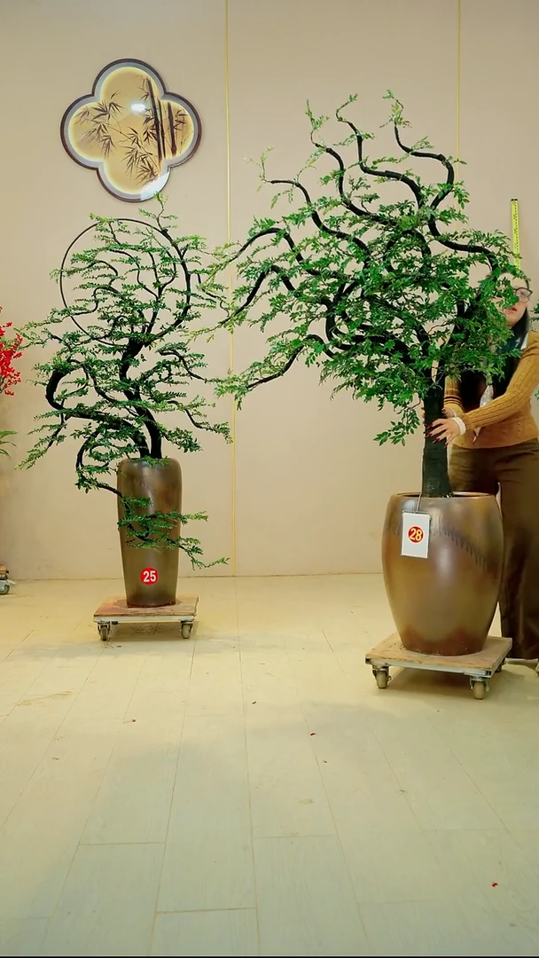 以实际为准斌*【广东小叶紫檀】落地高端盆景绿植四季常青常绿