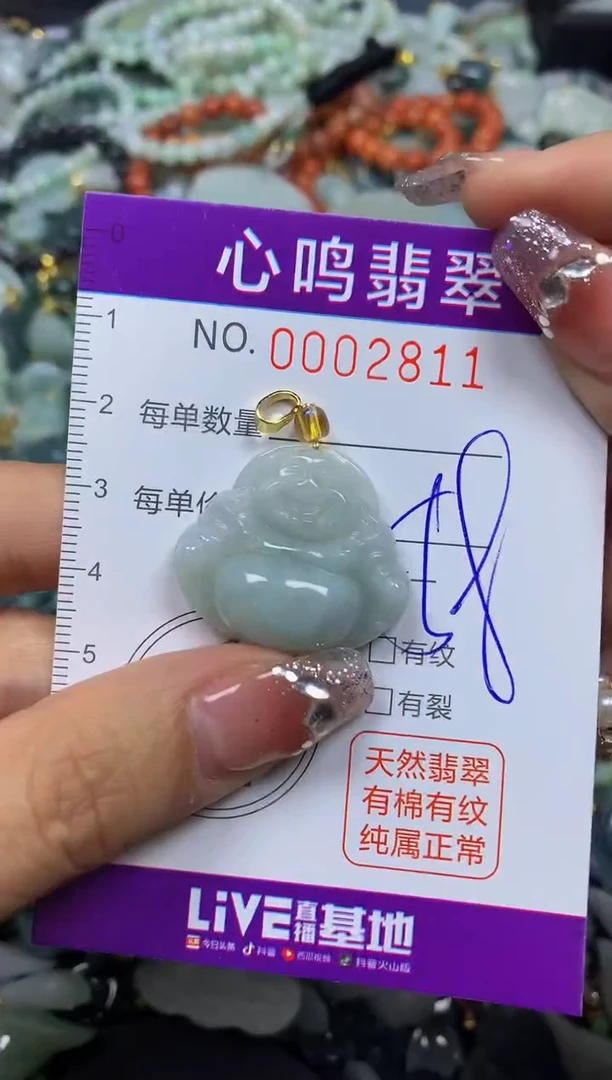 【闪购商品】翡翠颈饰未镶嵌闪购002811