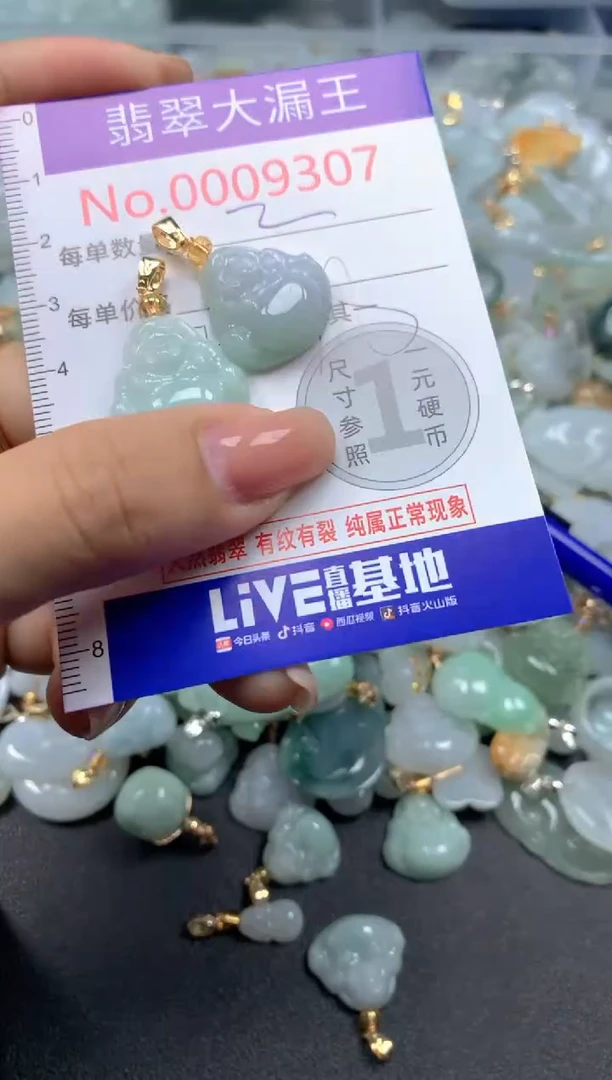 颈饰未镶嵌翡翠9307