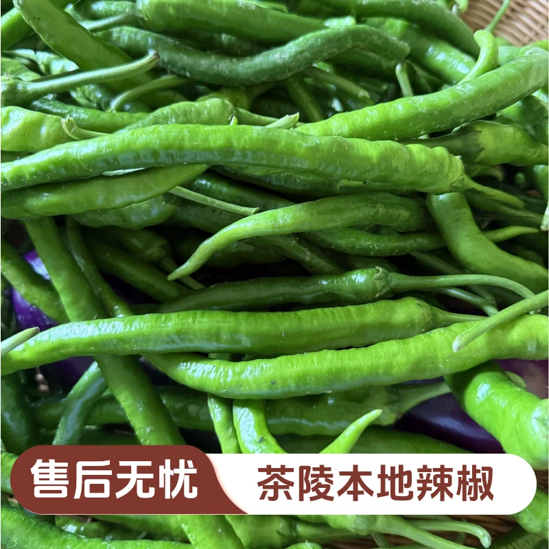 【 三哥专属 】湖南农家辣椒茄子香辣自种当季新鲜蔬菜农家肥（代买）