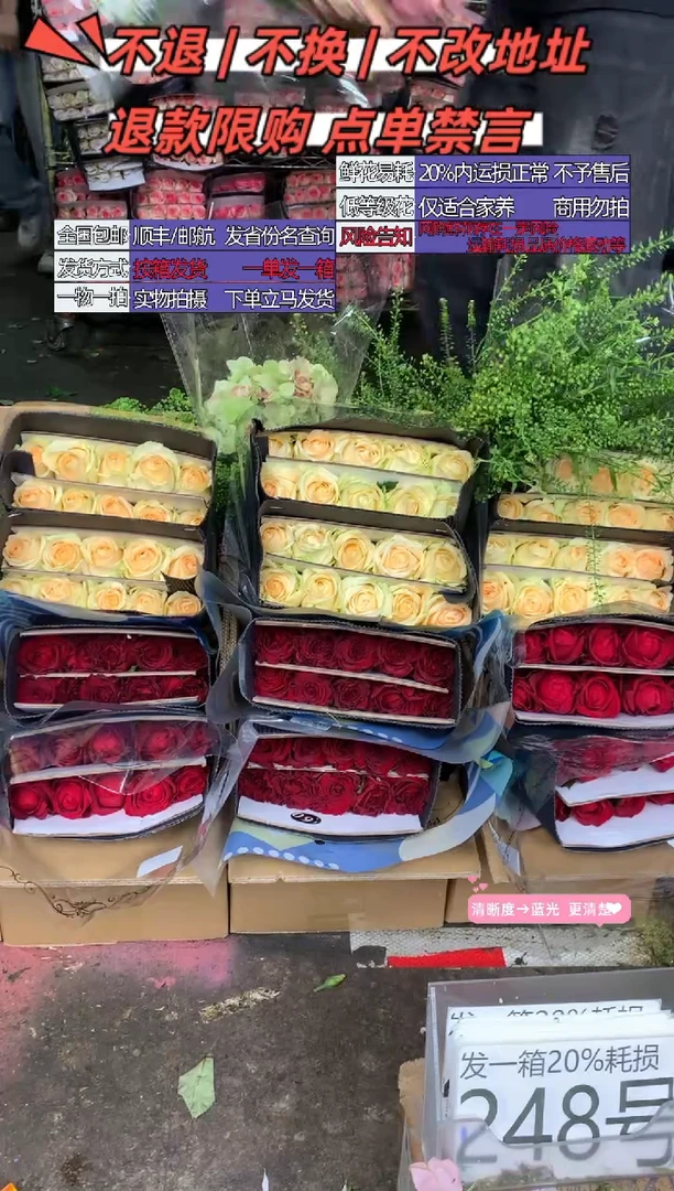 248号♥含20%耗损发一箱