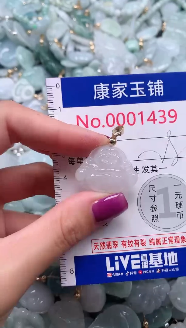 颈饰未镶嵌翡翠1439