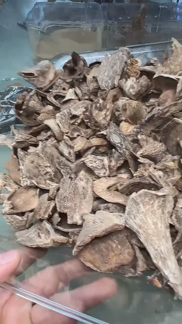 柬埔寨马蹄香5g装