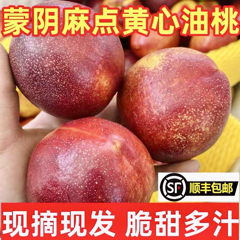 【蒙阴桃】顺丰山东黄心麻点油桃脆甜多汁新鲜应季水果桃子