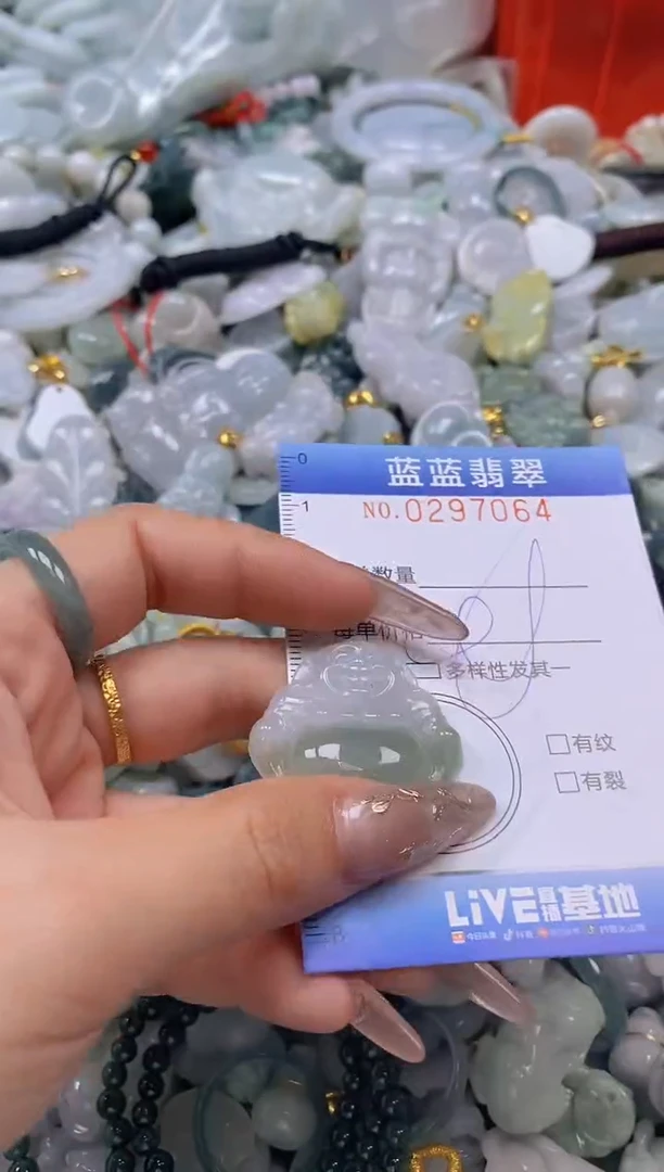 翡翠未镶嵌颈饰闪购0297064