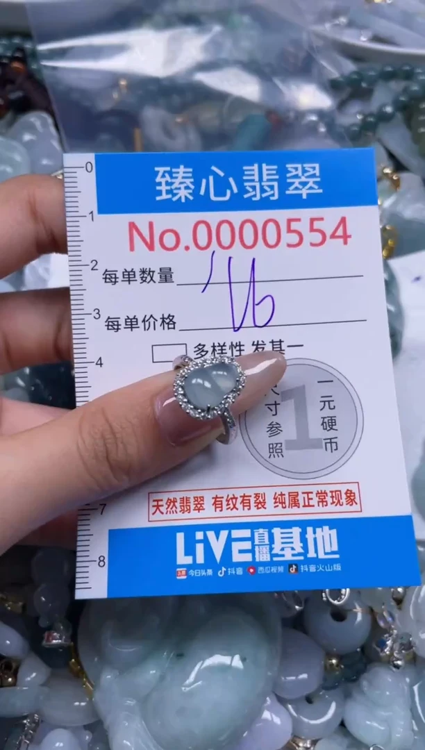 颈饰未镶嵌翡翠554