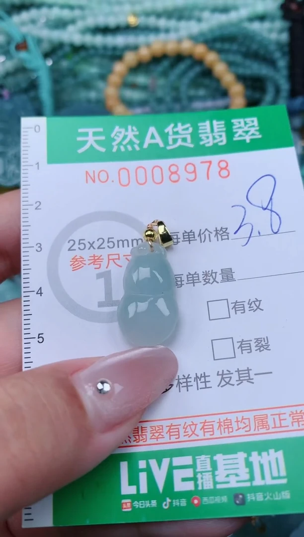 翡翠未镶嵌颈饰.0008978