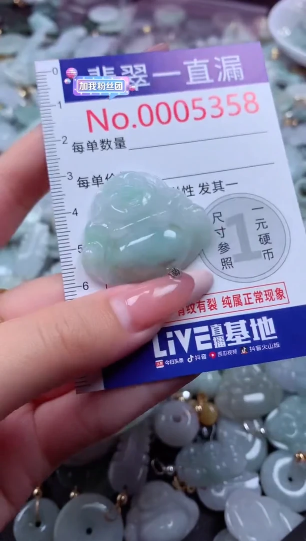 翡翠未镶嵌吊坠(不含链)5358