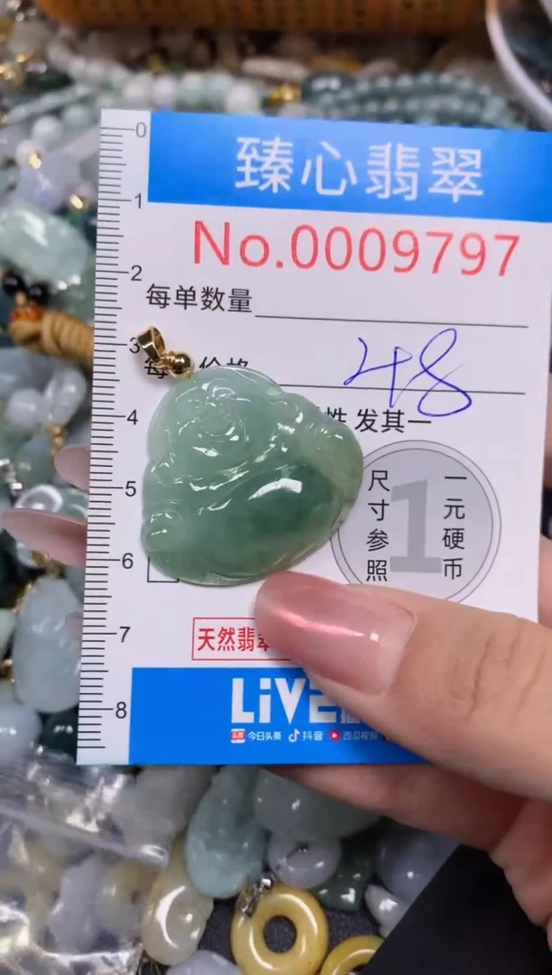 【闪购商品】翡翠颈饰未镶嵌含绳0009797