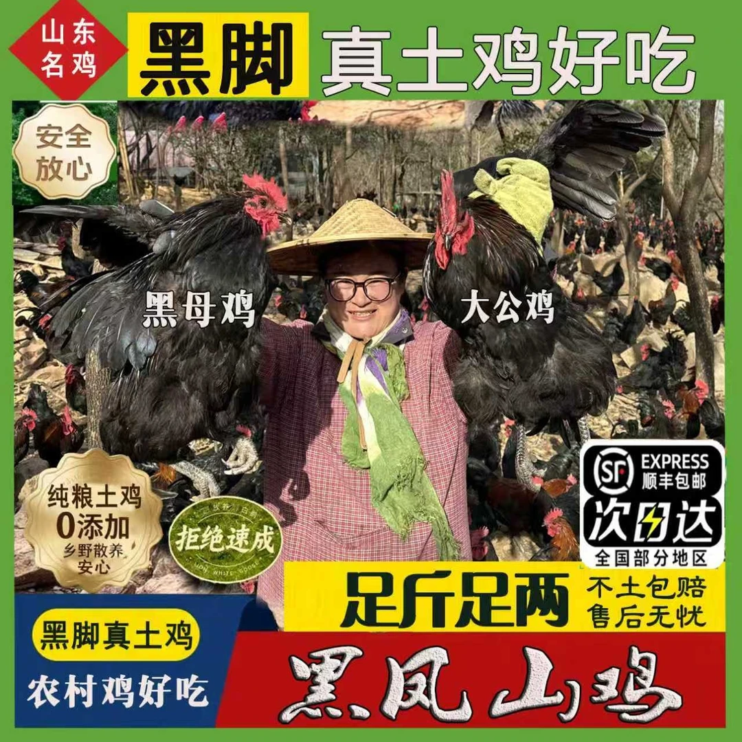 【黑脚真土鸡】毛重20-22斤5只/2公/2母送1母鸡净重10-11斤现杀净膛