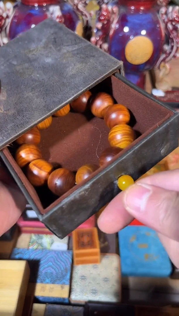 黄杨木11111111111111