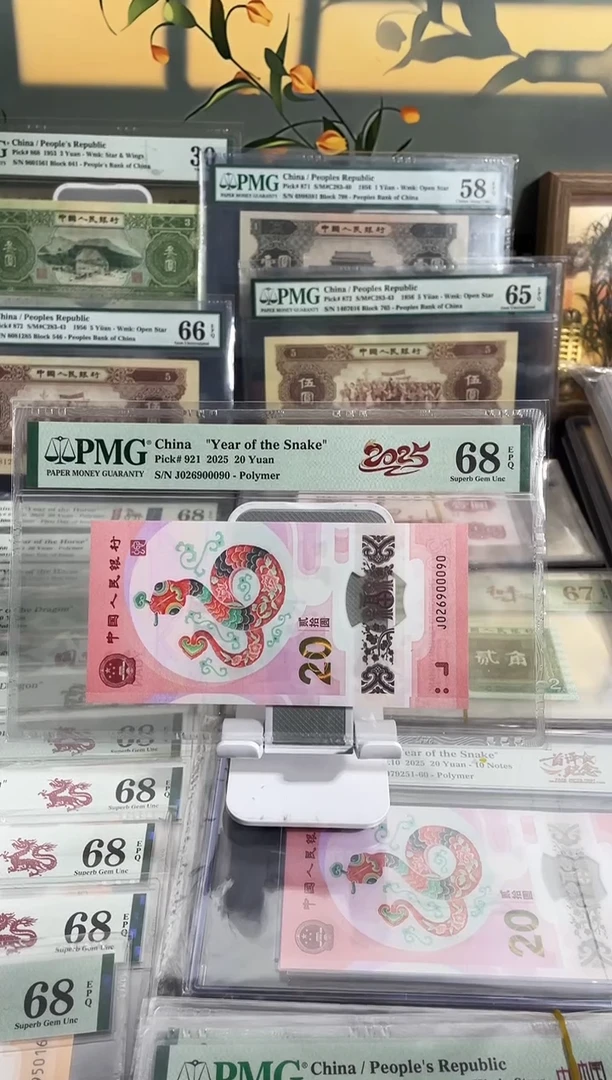 塑料蛇钞龙珠号68分豹子身