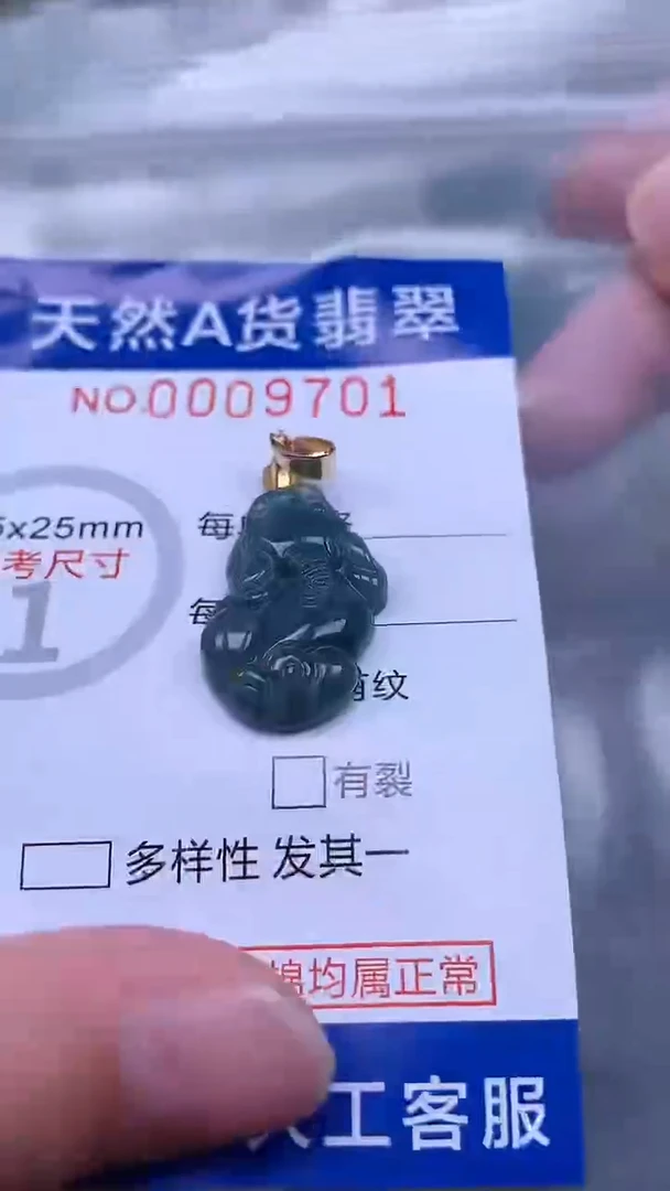 翡翠未镶嵌吊坠(不含链)1