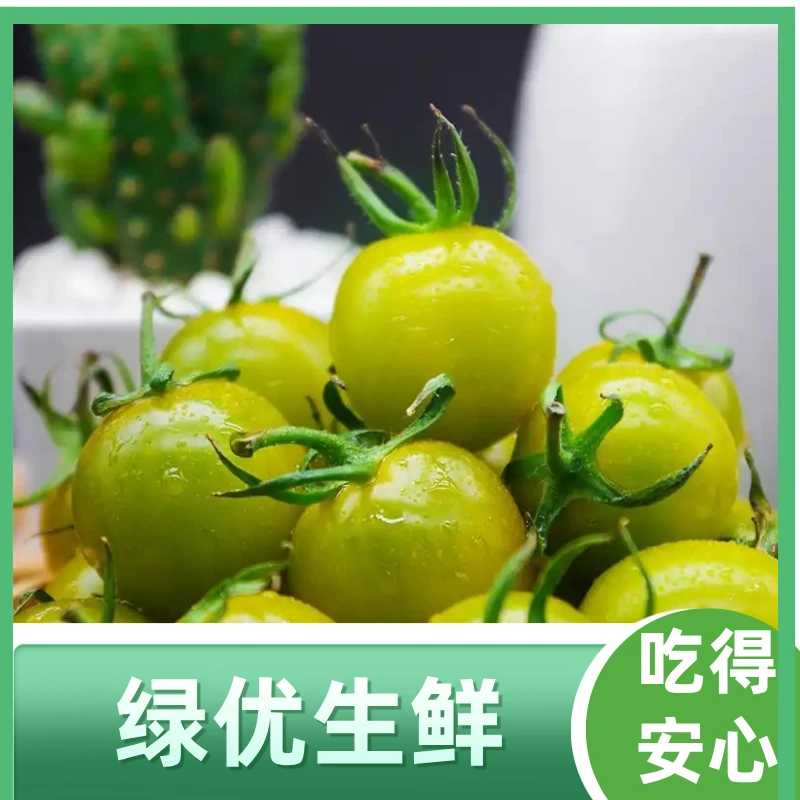 青甜小番茄约1000g千禧圣女果山东省