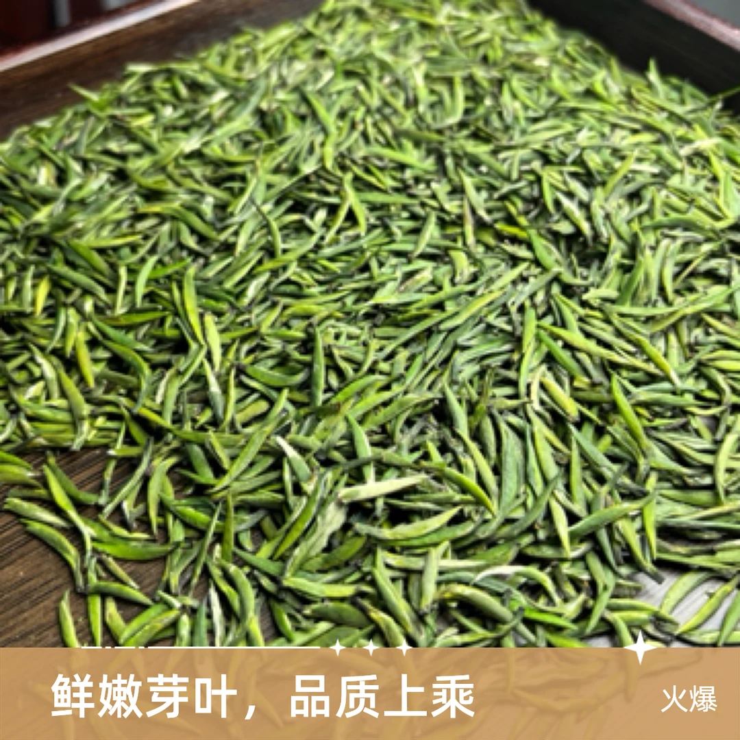 特级明前高山头采雀舌绿茶全芽嫩芽鲜爽回甘耐泡