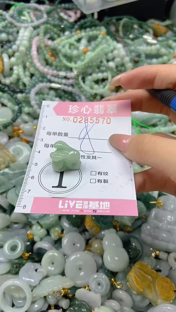 翡翠未镶嵌颈饰闪购0285570