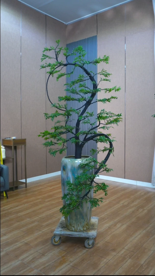 无花朵00000000000000000000