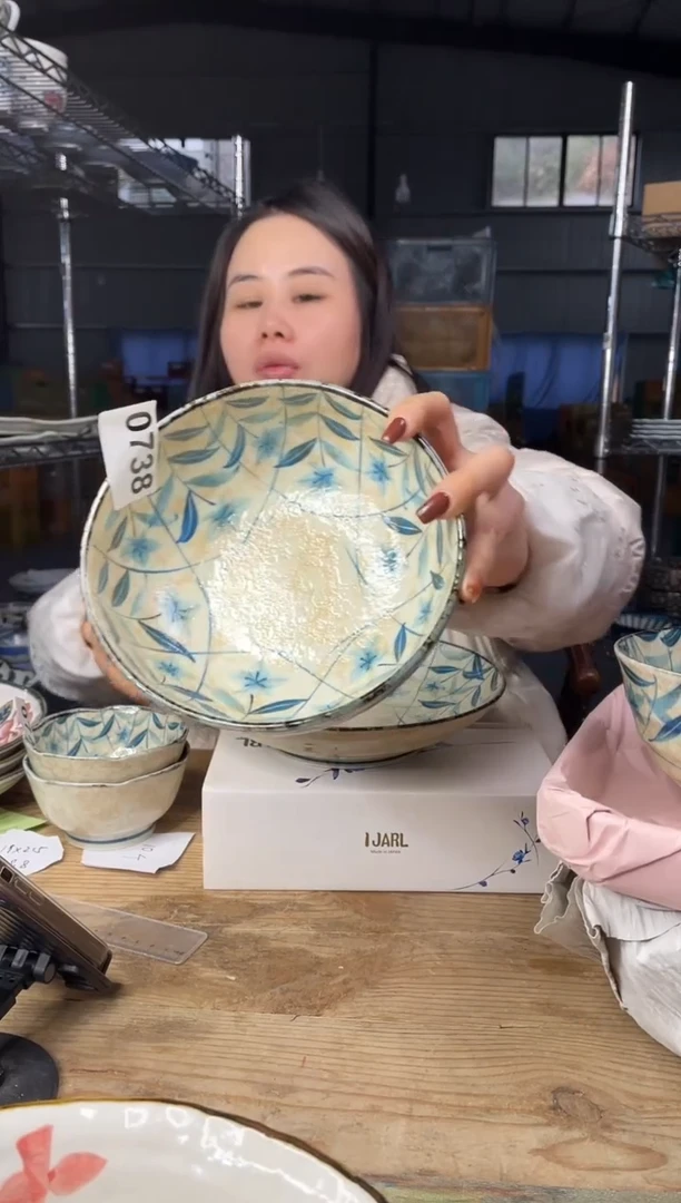 【闪购商品】瓷片738号        17*5