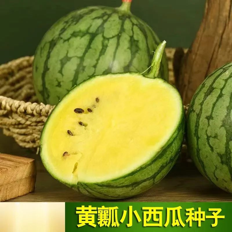 绿皮黄瓤春季黄心西瓜种籽四季播庭院蔬果种子甜黄金宝西瓜庭院
