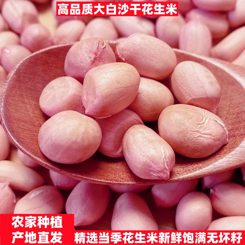 【2025新花生米】正宗白沙生花生米新鲜农家河南南阳花生仁精选无壳
