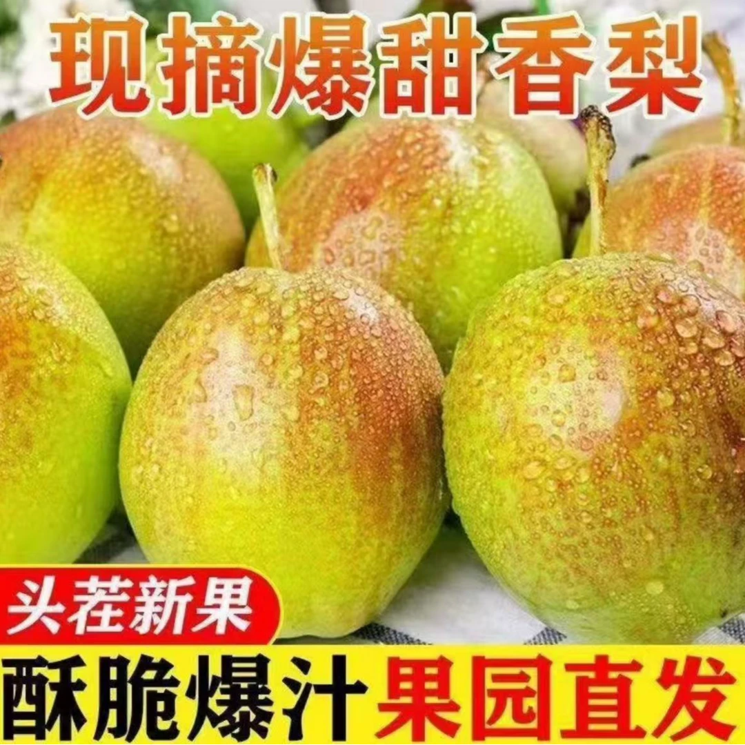 【25年头茬】5斤新梨7号现摘现发红香酥梨子当季新鲜水果库尔勒香梨