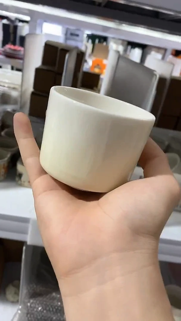 瓷片陶瓷茶器孤品26
