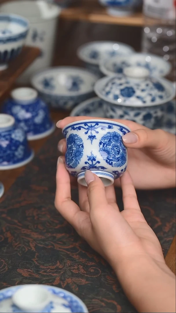杯子团菊高如是75cc