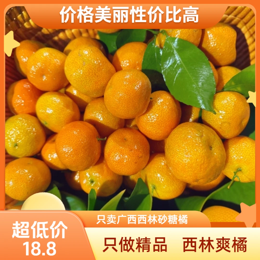 西林爽橘(广西西林砂糖橘)