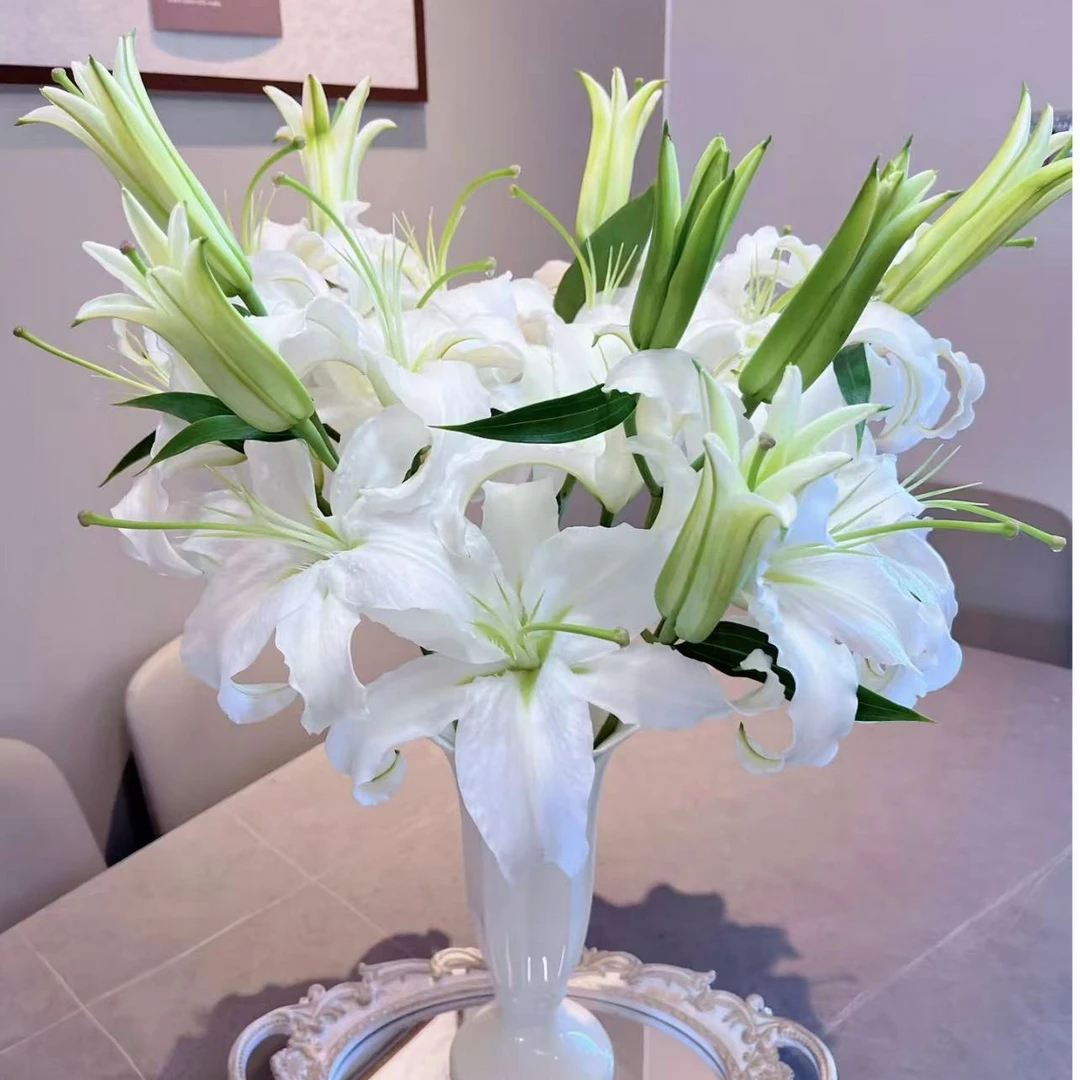 西伯利亚白百合两头5枝10个花头昆明鲜花批发次日达顺丰包邮到家 冷丰鲜花基地直发
