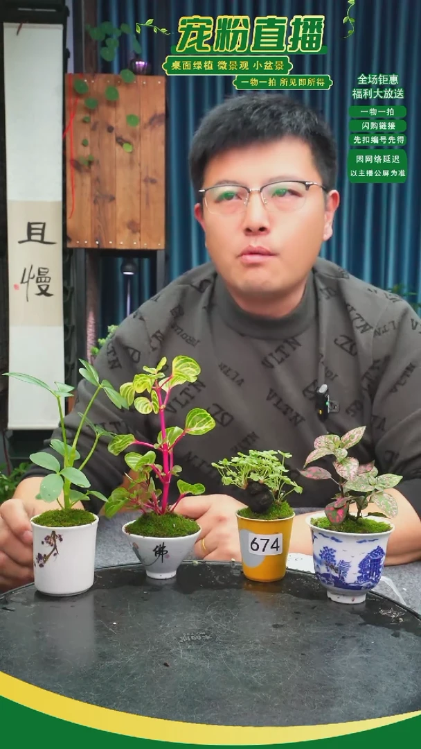 无花朵也**雨苔藓微景观674号