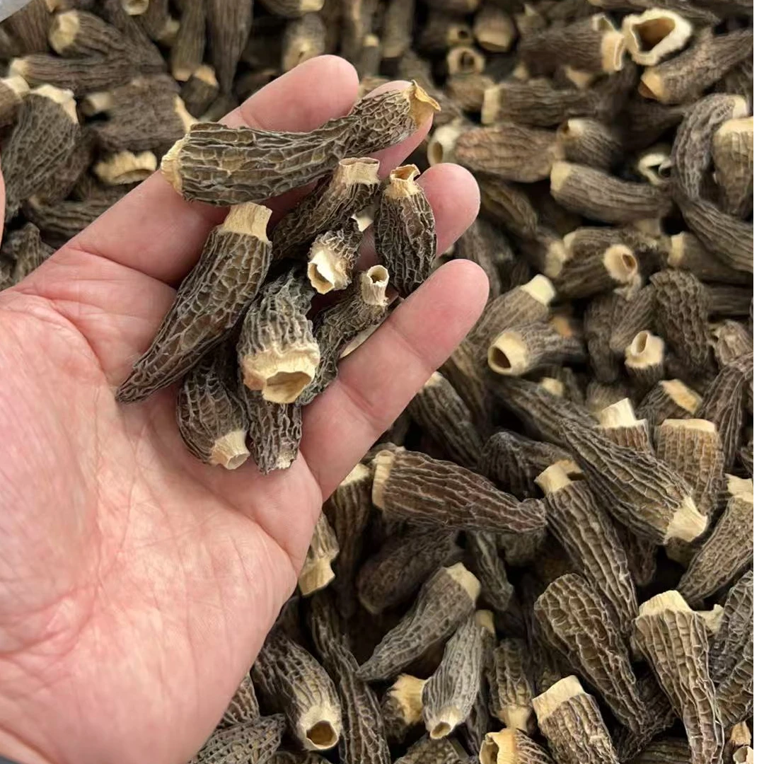 414390全剪羊肚菌小菇有个别丁丁菇介意勿拍