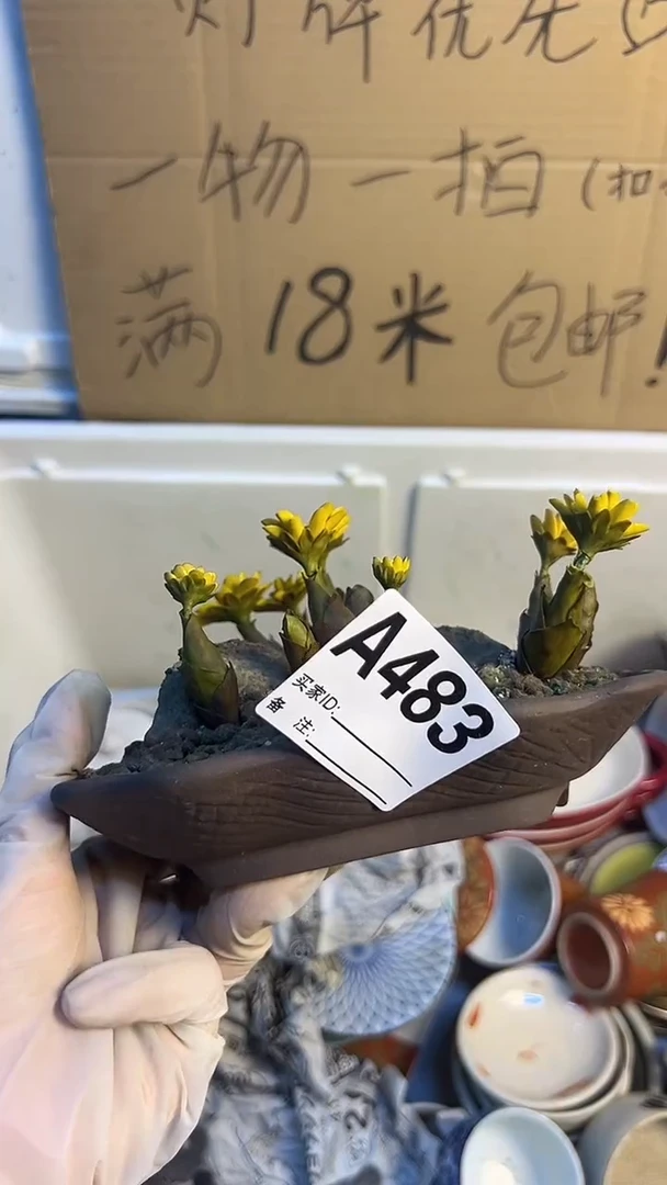瓷片慎**.483摆件