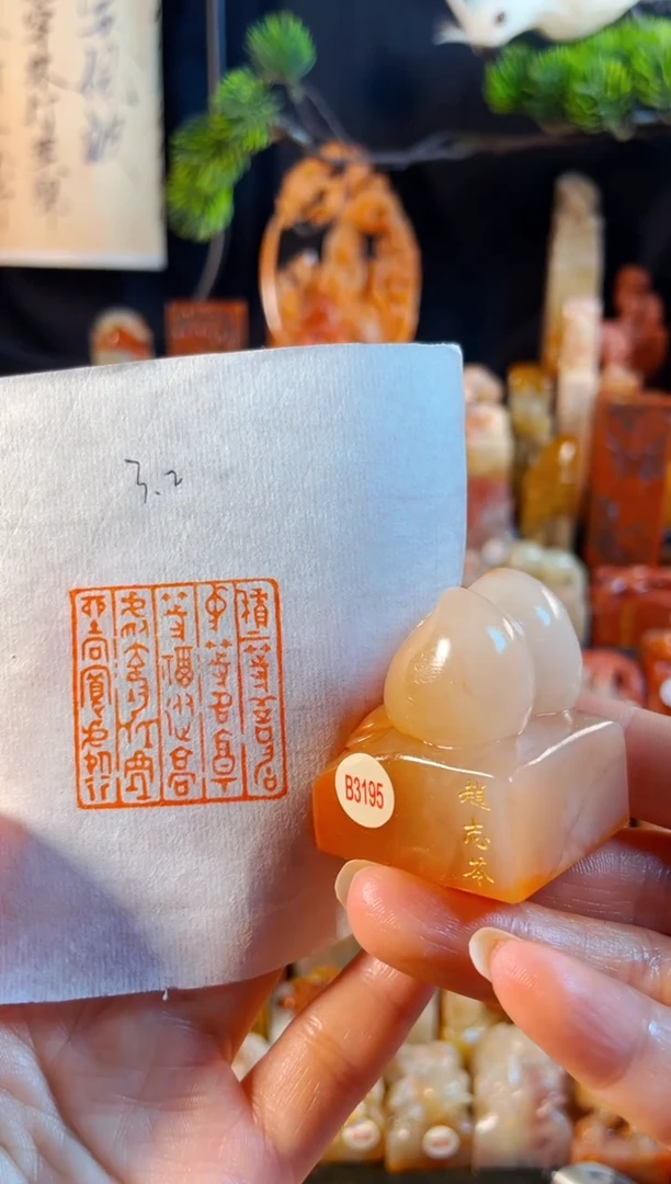 老挝石印石手工篆刻《积上等善居中等名.....》