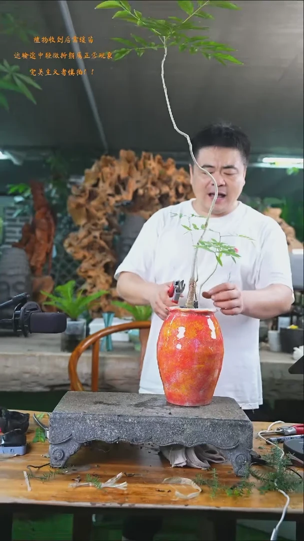 完全开放菩提108+