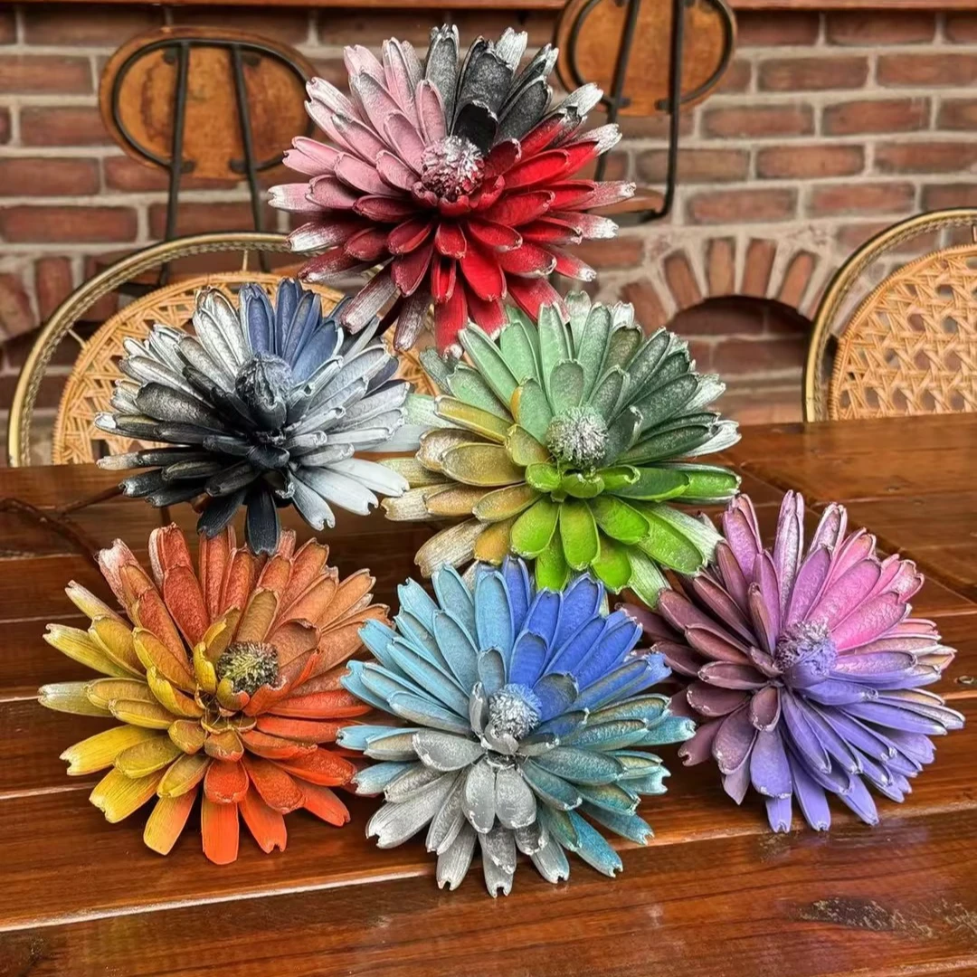 三八女神节宠粉福利  果壳干花（花瓣运输可能会掉介意慎拍）