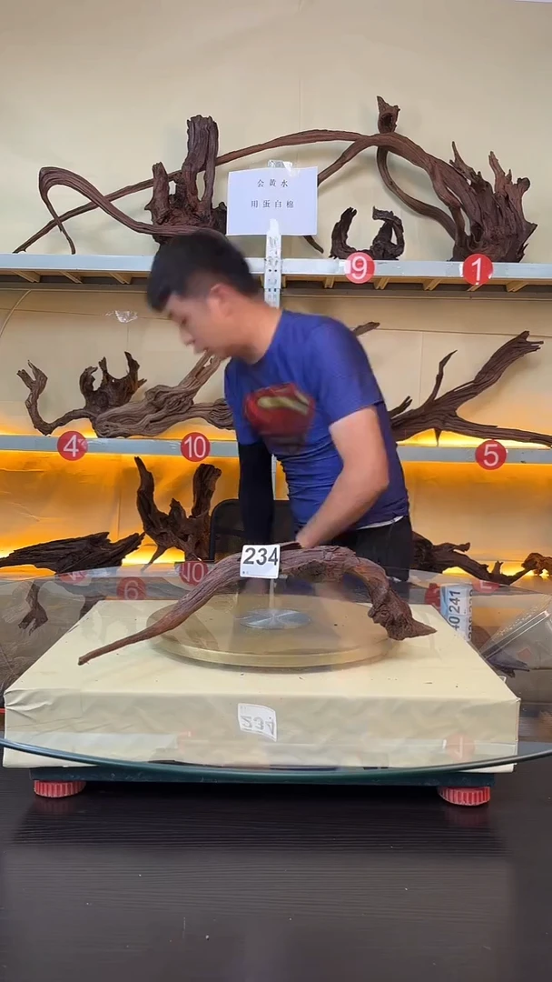 234云南紫釉 摆件 水族沉木料场直发 不需要煮 秒沉