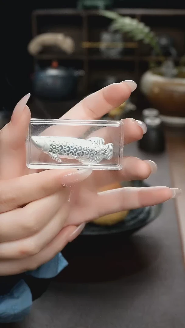 【闪购商品】 银龙鱼煮水银片茶周边