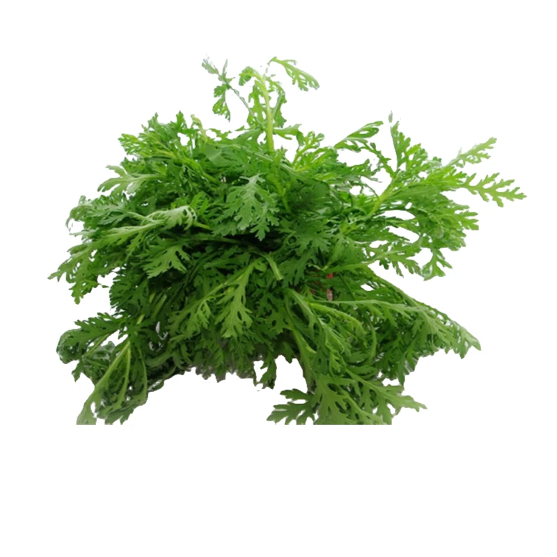 山东寿光鲜茼蒿250g±20g