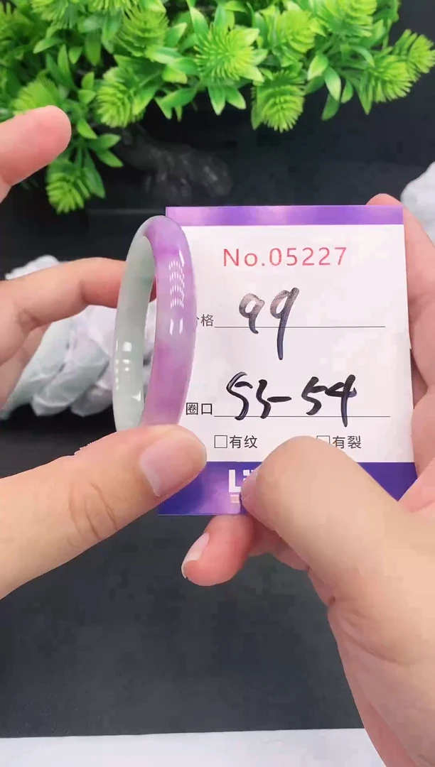 未镶嵌手镯翡翠5227