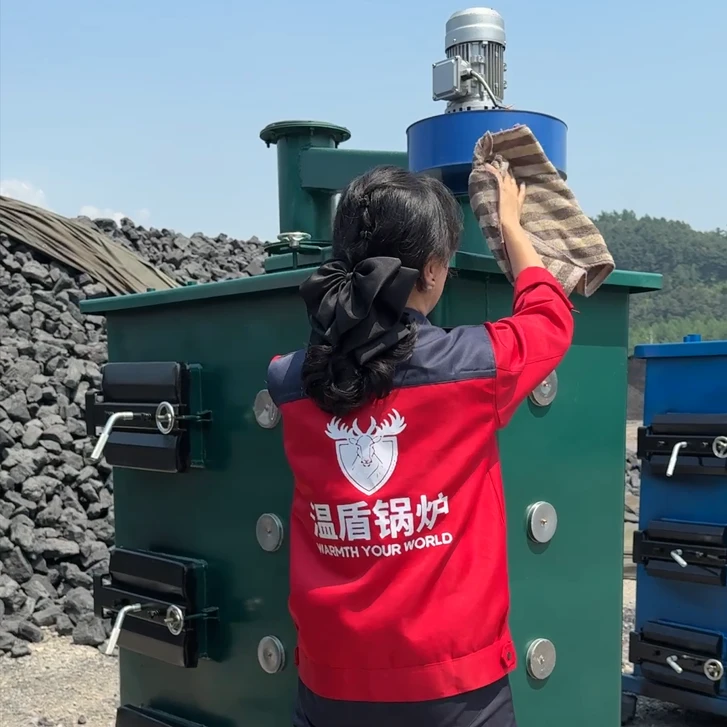 温盾980型热水锅炉数控烧水升温大棚取暖居家地暖浴池升温锅炉