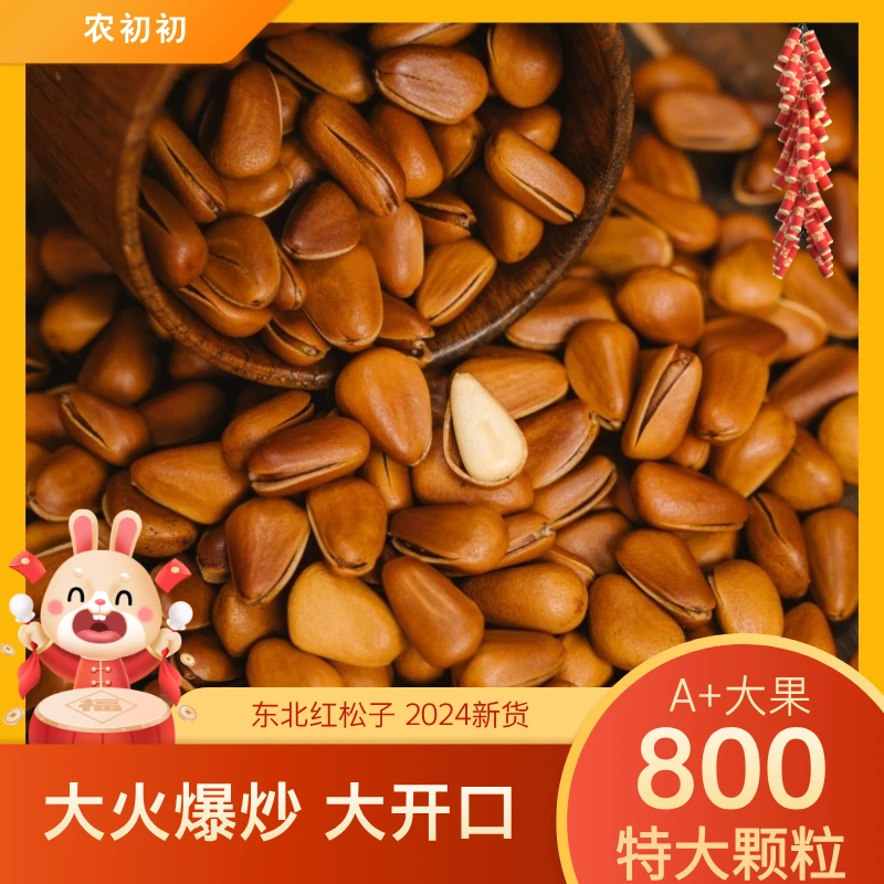 开口松子800特大颗粒2024新货长白山地区优质红松子