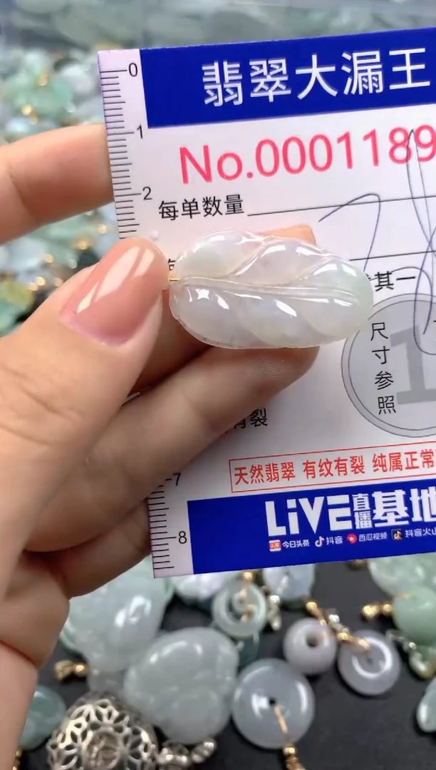 颈饰未镶嵌翡翠1189