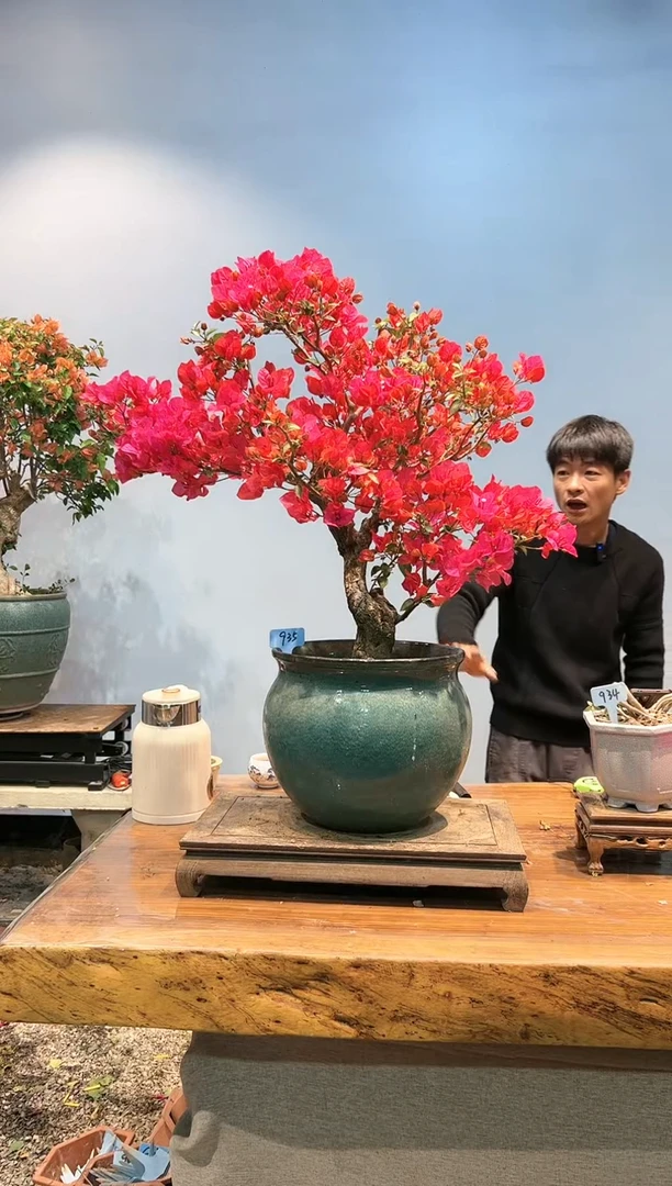 【闪购商品】AA935