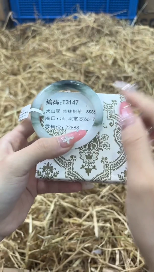 未镶嵌手镯石英质玉T3147