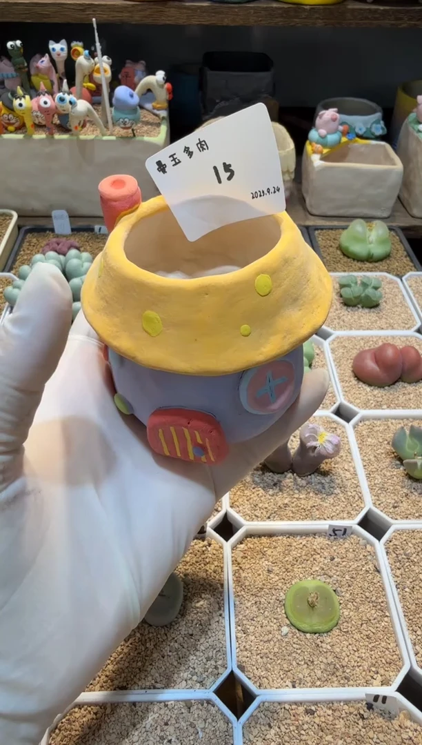 奶***廖25.9.24-15奶茶