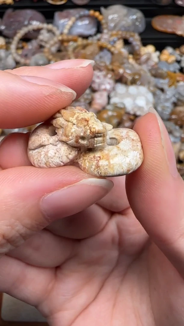 硅化珊瑚（珊瑚玉）未镶嵌颈饰664