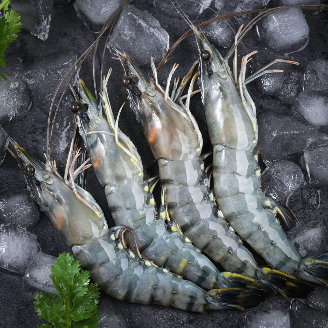 【A级超大号】黑虎虾一盒21-24只左右7-9只/斤礼盒装1275g左右/盒商品图