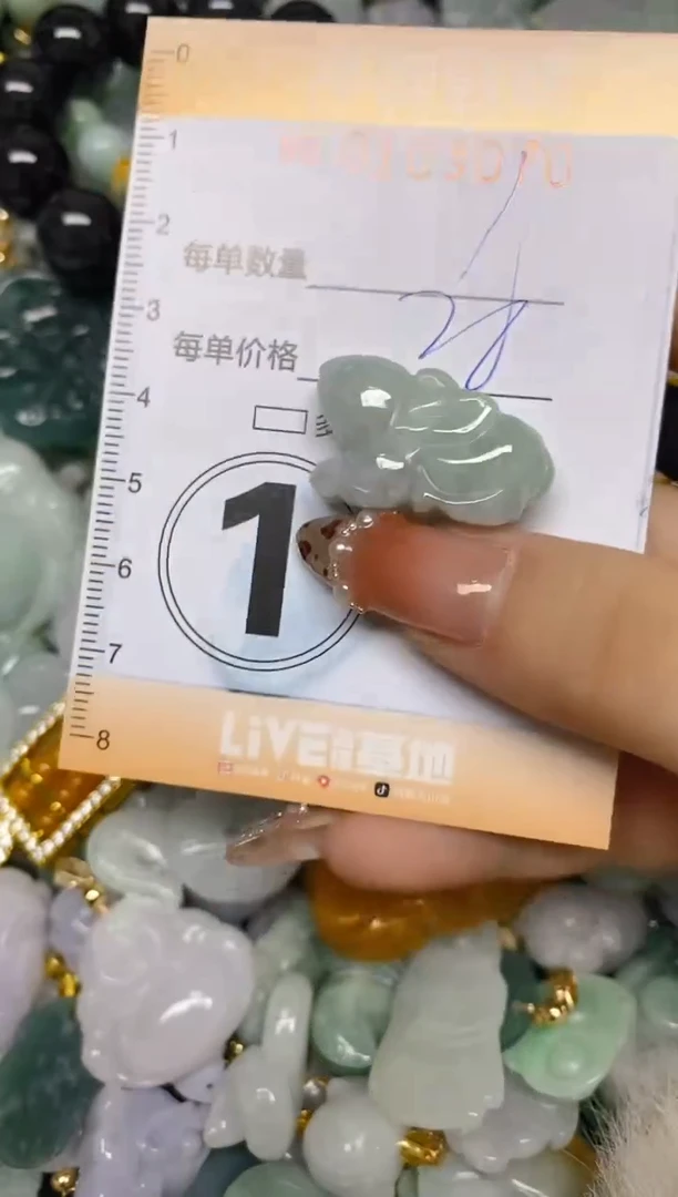 【闪购商品】翡翠颈饰未镶嵌闪购0103070