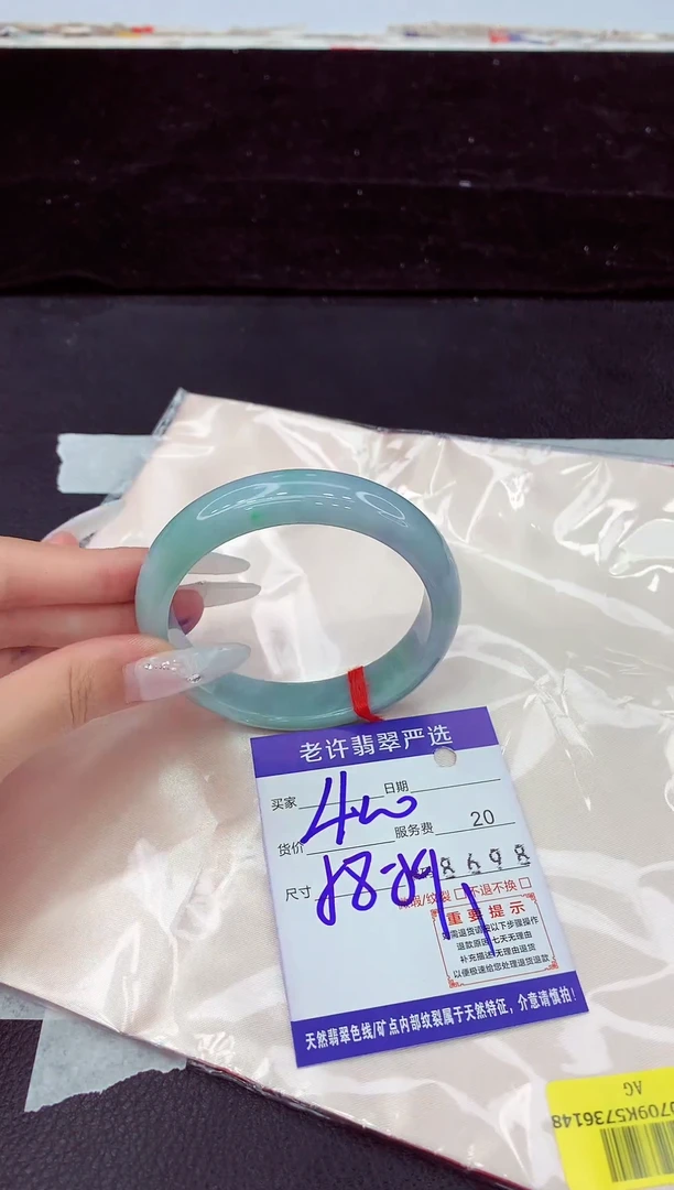 未镶嵌手镯翡翠1