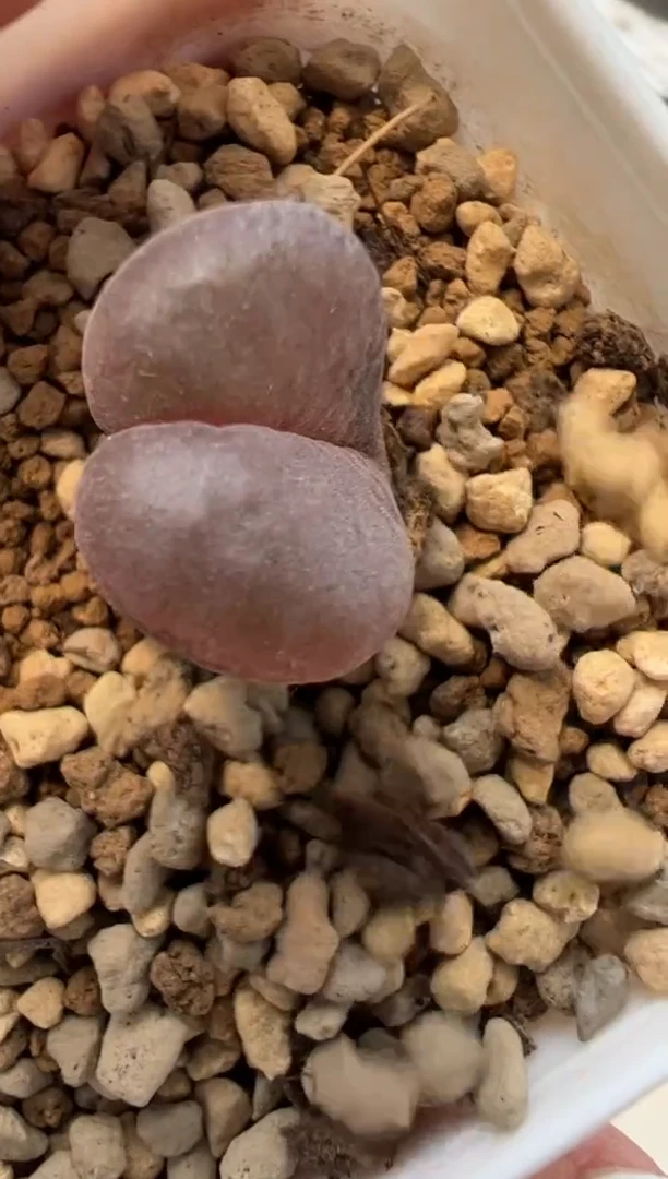 140.。。。。。。。。。。。。。。。。